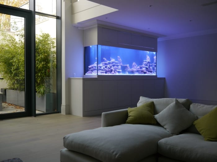 stunning aquarium in private home