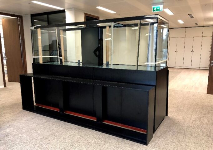 Empty freshwater aquarium setup