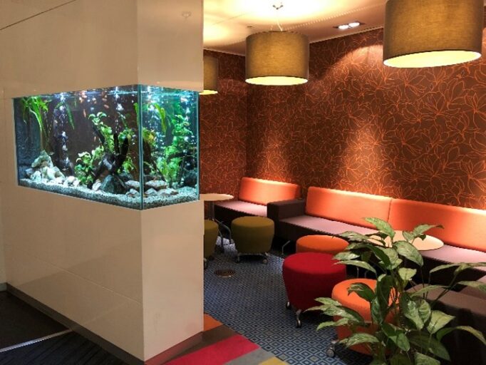 Reception lounge with a large freshwater aquarium.