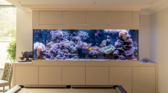 Bespoke reef aquarium blue - Large marine aquarium with coral and reef fish in a modern home.